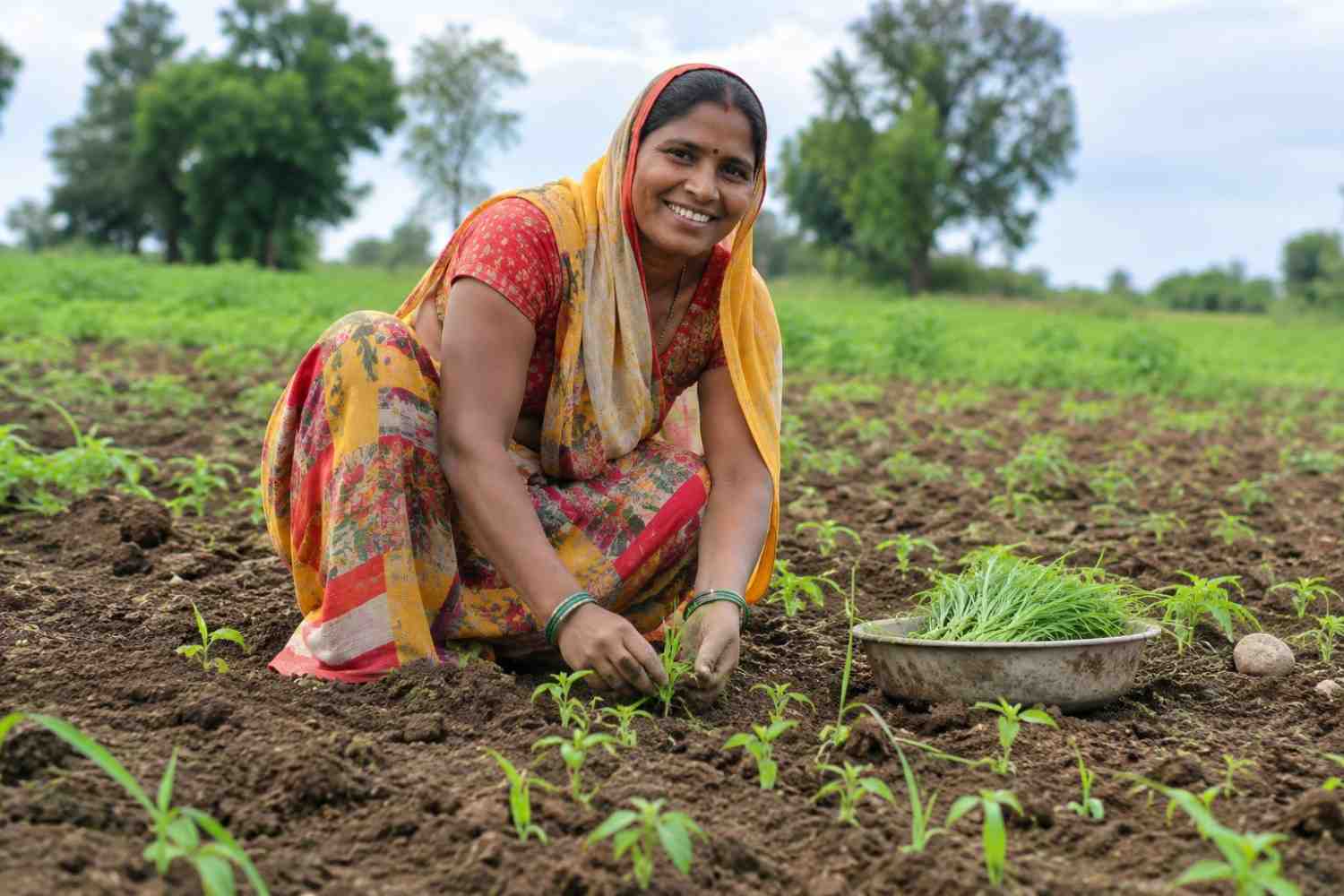 Governmentks Latest Discovery: Women Grow More Than Just Families