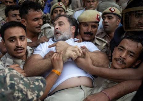 Delhi’s Cockroaches Hit the Streets, Rahul Gandhi Gets Detained