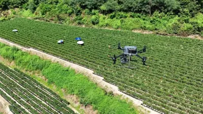 South Korea Summer Gets Serious, Drones Warned, Travellers Sheltering
