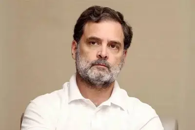 Rahul Gandhi Says E20 Is Costly for People and Apparently Cars To
