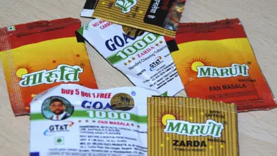 Karnataka Puts Tobacco on One Year Timeout, Gutka Sellers Left Chewing the News