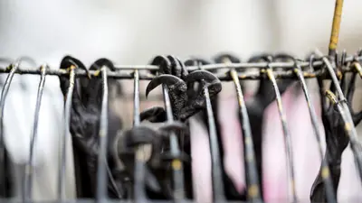 CBI Host India,Thailand Talk on Live Animal Trafficking Smugglers, Export Plans Face Scrutiny 
