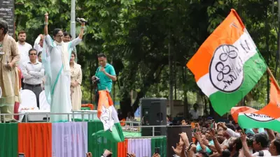 Trinamool Name Symbol Combo Frozen, Factions Now in Search of a New Political Logo 